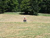 Kubb. Trochu kroket. A taky Strážné, Libáň a Břístev