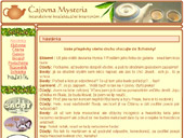 Čajovna 2 (vzhled stránky v srpnu 2004)